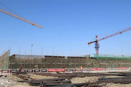 戴南大手笔建设江苏兴化高新区 日处理万吨工业污水处理厂内建 生态安全缓冲区